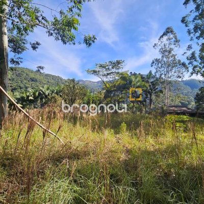Sítio com 35369m², 2 quartos, 1 garagem, no bairro Garcia em Angelina