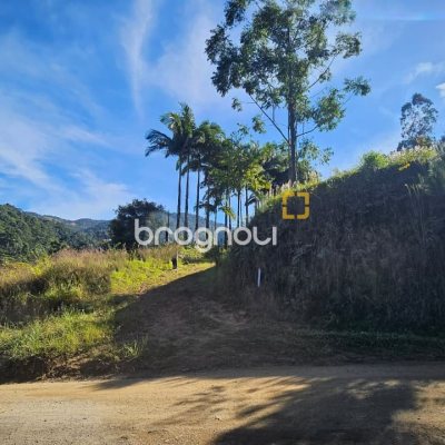 Sítio com 35369m², 2 quartos, 1 garagem, no bairro Garcia em Angelina
