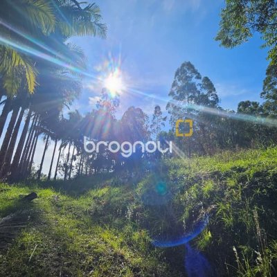 Sítio com 35369m², 2 quartos, 1 garagem, no bairro Garcia em Angelina