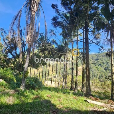 Sítio com 35369m², 2 quartos, 1 garagem, no bairro Garcia em Angelina
