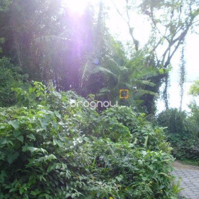 Terreno com 1485m², no bairro Daniela em Florianópolis