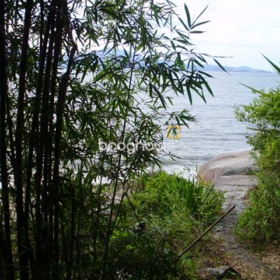 Terreno com 1485m², no bairro Daniela em Florianópolis