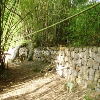 Terreno com 1485m², no bairro Daniela em Florianópolis