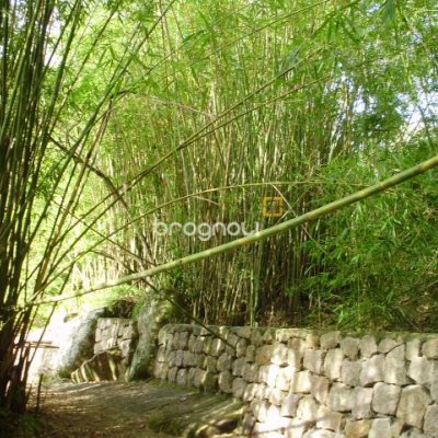 Terreno com 1485m², no bairro Daniela em Florianópolis