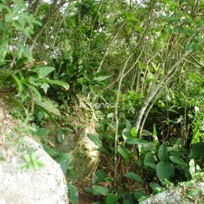 Terreno com 1485m², no bairro Daniela em Florianópolis