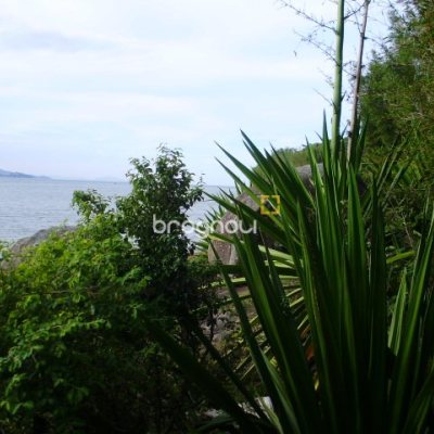 Terreno com 1485m², no bairro Daniela em Florianópolis
