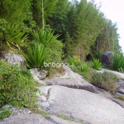Terreno com 1485m², no bairro Daniela em Florianópolis