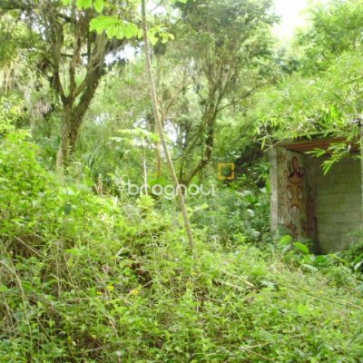 Terreno com 1485m², no bairro Daniela em Florianópolis