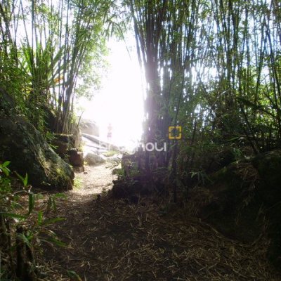 Terreno com 1485m², no bairro Daniela em Florianópolis