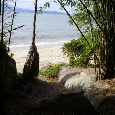 Terreno com 1485m², no bairro Daniela em Florianópolis