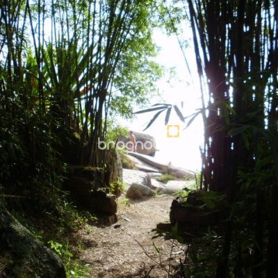 Terreno com 1485m², no bairro Daniela em Florianópolis