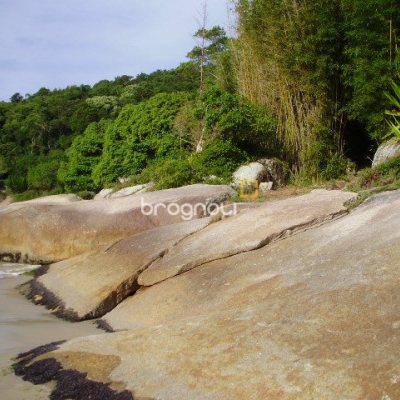 Terreno com 1485m², no bairro Daniela em Florianópolis