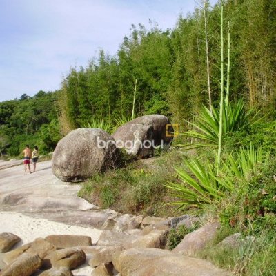 Terreno com 1485m², no bairro Daniela em Florianópolis