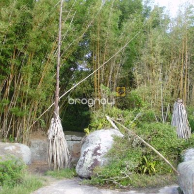 Terreno com 1485m², no bairro Daniela em Florianópolis