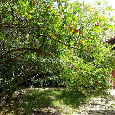 Casa com 154m², 3 quartos, 2 garagens, no bairro Rio Tavares em Florianópolis