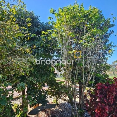 Casa com 288m², 6 quartos (sendo 2 suítes), 2 garagens, no bairro Praia Brava em Florianópolis