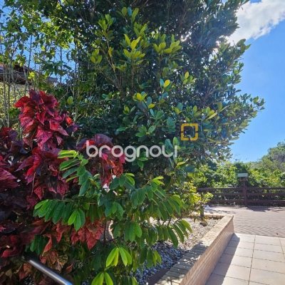 Casa com 288m², 6 quartos (sendo 2 suítes), 2 garagens, no bairro Praia Brava em Florianópolis