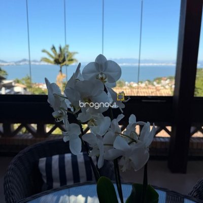 Casa com 309m², 4 quartos (sendo 1 suíte), 3 garagens, no bairro Sambaqui em Florianópolis