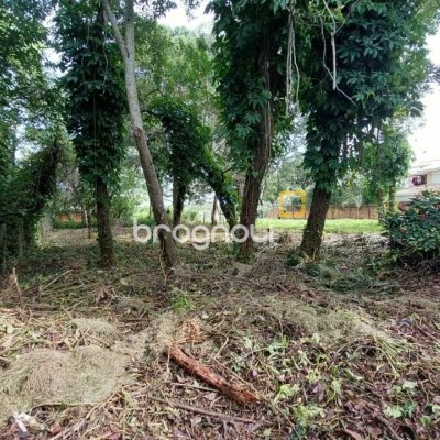 Terreno com 754m², no bairro Campeche em Florianópolis