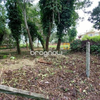 Terreno com 754m², no bairro Campeche em Florianópolis