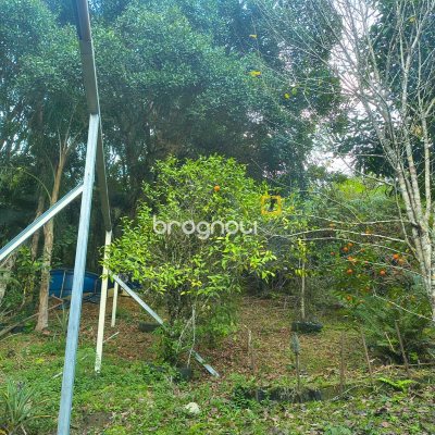 Sítio com 200m², 3 quartos, 3 garagens, no bairro Teresópolis em Águas Mornas