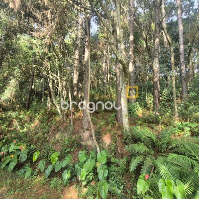 Terreno, no bairro Vargem Pequena em Florianópolis
