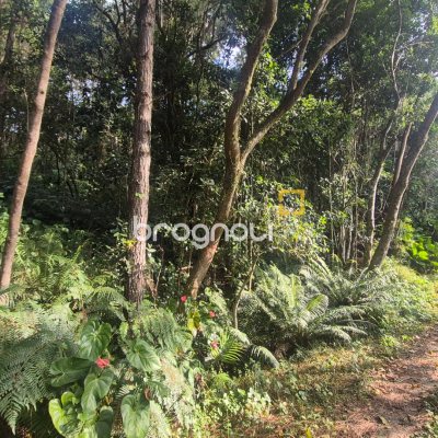 Terreno, no bairro Vargem Pequena em Florianópolis