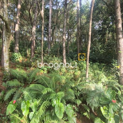 Terreno, no bairro Vargem Pequena em Florianópolis
