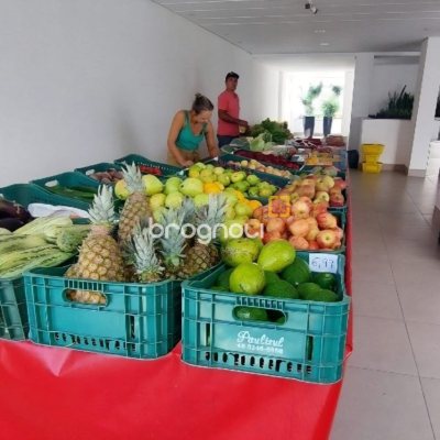 Apartamento com 70m², 2 quartos (sendo 1 suíte), 1 garagem, no bairro Capoeiras em Florianópolis