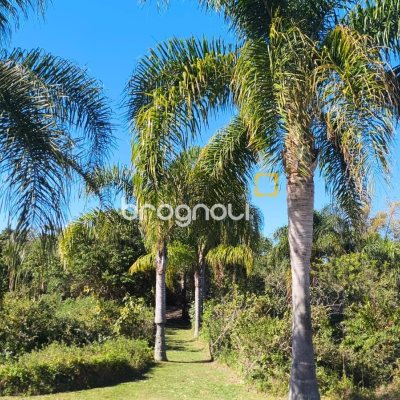 27826 com 400m², no bairro Canasvieiras em Florianópolis
