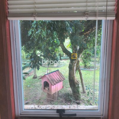 Sítio com 100m², 7 quartos (sendo 5 suítes), 2 garagens, no bairro Ratones em Florianópolis
