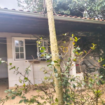 Sítio com 100m², 7 quartos (sendo 5 suítes), 2 garagens, no bairro Ratones em Florianópolis