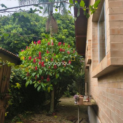 Sítio com 100m², 7 quartos (sendo 5 suítes), 2 garagens, no bairro Ratones em Florianópolis
