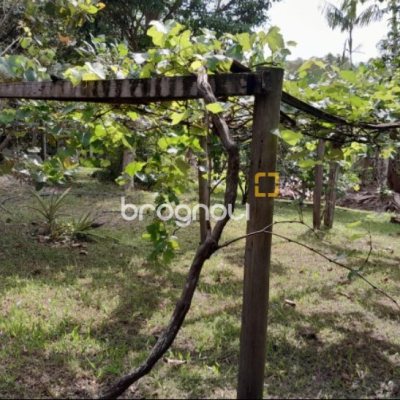 Sítio com 100m², 7 quartos (sendo 5 suítes), 2 garagens, no bairro Ratones em Florianópolis