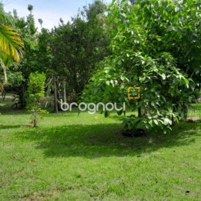 Sítio com 100m², 7 quartos (sendo 5 suítes), 2 garagens, no bairro Ratones em Florianópolis