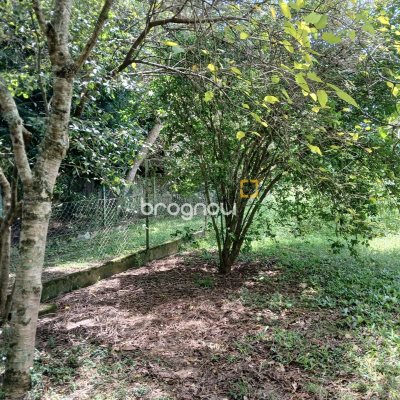 Sítio com 326m², 4 quartos (sendo 1 suíte), 2 garagens, no bairro Ratones em Florianópolis
