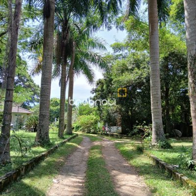 Sítio com 326m², 4 quartos (sendo 1 suíte), 2 garagens, no bairro Ratones em Florianópolis