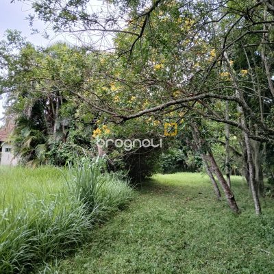 Sítio com 326m², 4 quartos (sendo 1 suíte), 2 garagens, no bairro Ratones em Florianópolis