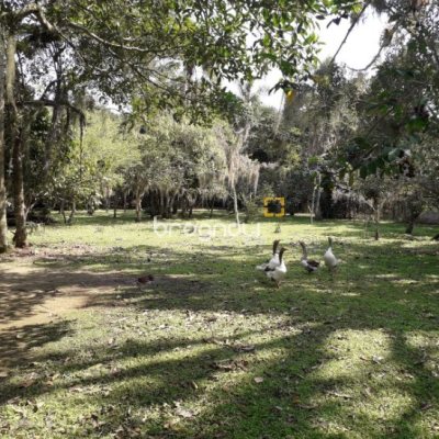 Sítio com 100m², 2 quartos (sendo 1 suíte), 2 garagens, no bairro Ratones em Florianópolis