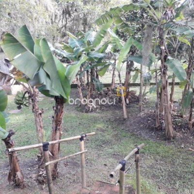 Sítio com 100m², 2 quartos (sendo 1 suíte), 2 garagens, no bairro Ratones em Florianópolis