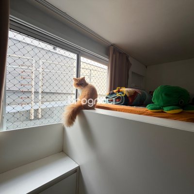Apartamento com 64m², 3 quartos (sendo 1 suíte), 1 garagem, no bairro Ipiranga em São José