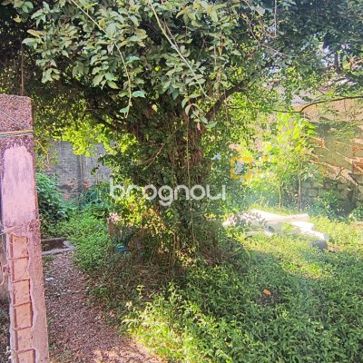 Terreno com 405m², no bairro Serraria em São José