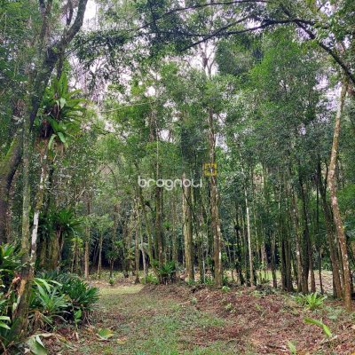 Terreno com 20m², no bairro Santa Augusta em Braço do Norte