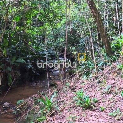 Terreno com 20m², no bairro Santa Augusta em Braço do Norte
