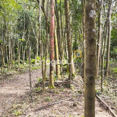 Terreno com 20m², no bairro Santa Augusta em Braço do Norte