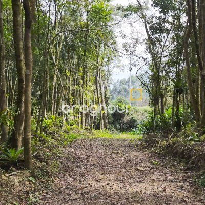 Terreno com 20m², no bairro Santa Augusta em Braço do Norte