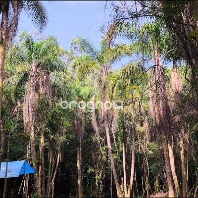 Terreno com 20m², no bairro Santa Augusta em Braço do Norte