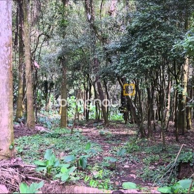 Terreno com 20m², no bairro Santa Augusta em Braço do Norte