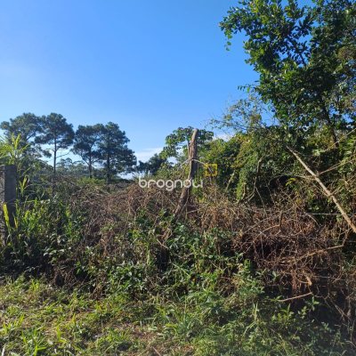 Terreno com 14000m², no bairro Santo Antônio de Lisboa em Florianópolis