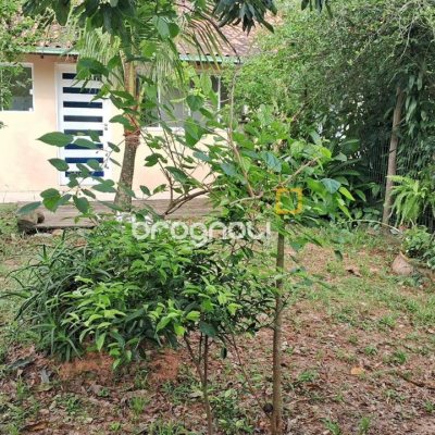 Casa com 257m², 4 quartos (sendo 1 suíte), 4 garagens, no bairro Rio Tavares em Florianópolis